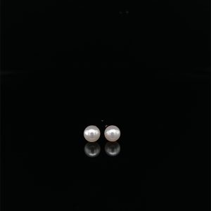 14k Yellow Gold 3.5-4mm Pearl Stud Earrings
